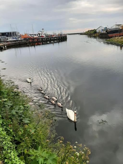 Stunning Riverside Town House With Views Ayrshire Girvan Dış mekan fotoğraf
